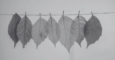 How to Navigate Life’s Seasons with Faith?